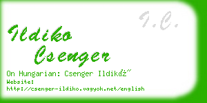 ildiko csenger business card